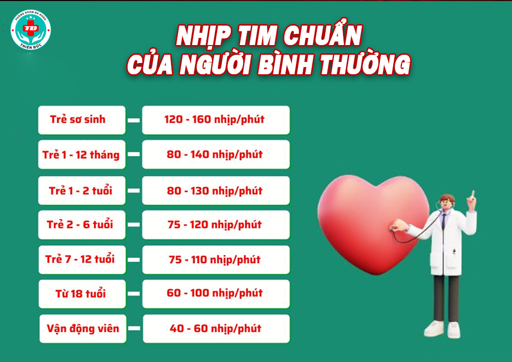 nhip tim nguoi binh thuong