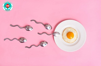 Nên ăn gì để bổ trứng, tốt cho thụ thai?