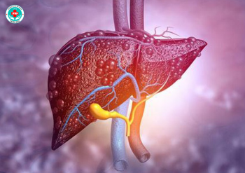 Suy gan cấp: Nguyên nhân, triệu chứng và cách điều trị