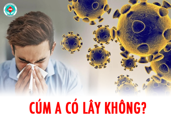 Cúm A có lây không và thường lây qua đường nào?