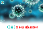 Bị cúm B có nguy hiểm không? Cúm B lây lan qua đường nào?