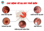 Các bệnh về dạ dày và những điều cần lưu ý