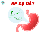 Vi khuẩn HP - Mối nguy hiểm tiềm ẩn với hệ tiêu hóa