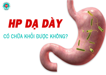 HP dạ dày có chữa khỏi được không?