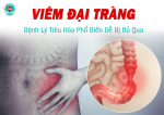 Viêm Đại Tràng – Bệnh Lý Tiêu Hóa Phổ Biến Dễ Bị Bỏ Qua